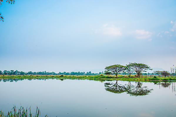 포토 JPG 해외이미지 나무 식물 구름 공원 꽃 호수 여행 백그라운드 잎 자연 하늘 휴가 핀란드 풍경 사람없음 야외 초록색 물 여름 파란색 강 컬러풀 반사 침묵 봄 시골 연못 야간 숲 장면 주말 내추럴 수평선 해외202004 해외포토 자연요소 계절 공공시설 컬러 북유럽 소리 생태계 파일형식 이미지허브