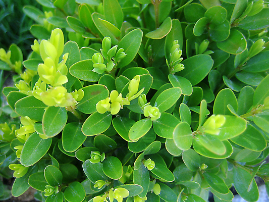 포토 JPG 해외이미지 외관 유럽 문화 도로 여행 건축양식 거리 주택 항해 사람없음 건물 여름 빛 도시풍경 햇빛 탑 맑음 궁전 수확 골동품 도시 센터 역사 스페인 클래식 정사각형 지역 타운 천연기념물 마드리드 스페인어 옛날 인기 해외202004 해외포토 도형 건축물 계절 건축 나라 길 컨셉 고건축 농업 배_교통 교통시설 날씨 풍경 태양 파일형식 이미지허브