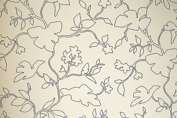 포토 JPG 해외이미지 디자인 종이 벽 백그라운드 패턴 벽지 표면 날씨 프레임 미술 사람없음 장식 갈색 페인트 손상 회색 수확 덮개 얼룩 거친 클래식 우아함 피부 크림 묘사 사인 질감 복고 캔버스 페이지 상아 시들음 창백 구식 그런지 옛날 파스텔톤 해외202004 해외포토 컬러 컨셉 무늬 농업 문화예술 신체부위 뚜껑 파일형식 이미지허브