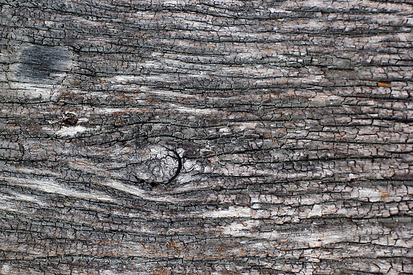 포토 JPG 해외이미지 나무 식물 벽 백그라운드 패턴 자연 표면 추상 프레임 건조 사람없음 목재 갈색 환경 골동품 껍질 거친 널 피부 묘사 부식 질감 목공예 나무껍질 잡동사니 옛날 울퉁불퉁 해외202004 해외포토 컬러 무늬 재료 신체부위 공예 생태계 파일형식 이미지허브