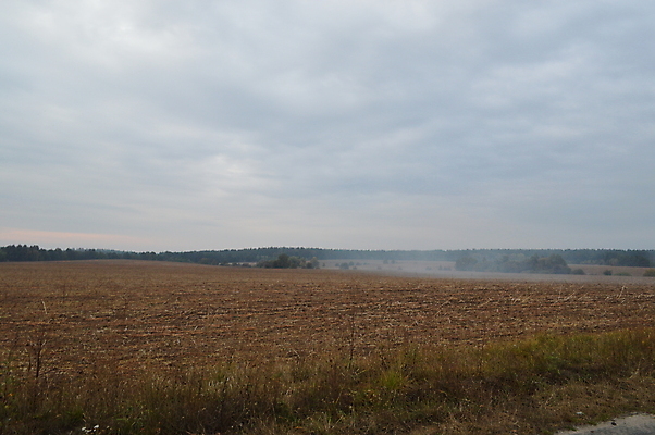 포토 JPG 해외이미지 식물 꽃 산업 문화 줄기 밭 농업 해바라기 씨앗 사람없음 경제 농작물 수확 시골 버터 밭일 해외202004 해외포토 파일형식 이미지허브