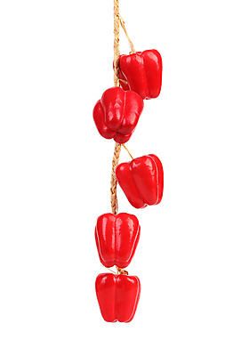 포토 JPG 해외이미지 종이 음식 꽃다발 채소 가방 재료 포장 그림자 선물 사람없음 장식 꽃병 활발 흰색 뜨거움 신용카드 그룹 달콤 향신료 질감 열정 후추 거짓 고립 구성 해외202004 해외포토 잡화 꽃 감정 컬러 컨셉 금융 맛 향미료 파일형식 이미지허브