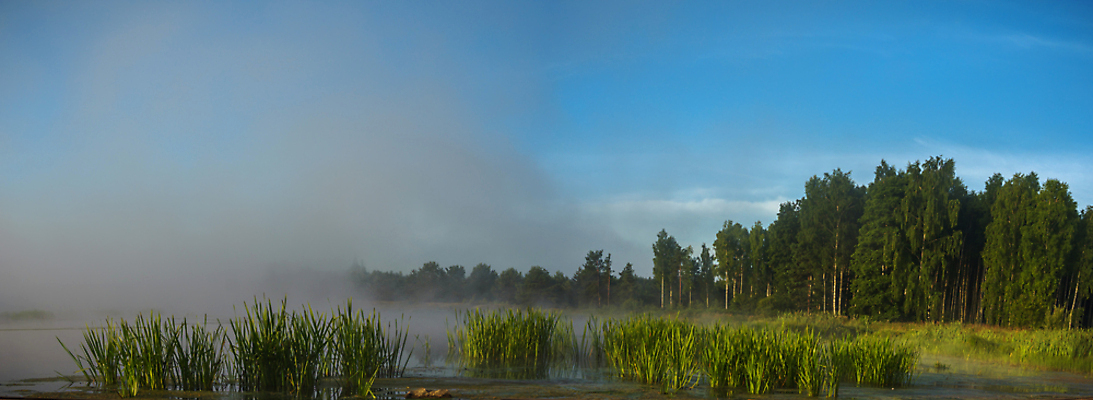 포토 JPG 해외이미지 나무 식물 구름 계절 공원 실루엣 여행 백그라운드 밭 오렌지 자연 하늘 휴가 따뜻함 그림자 풍경 사람없음 야외 빨간색 초록색 여름 파란색 빛 햇빛 태양 노란색 평화 일출 환경 침묵 황혼 일몰 새벽 황금 저녁 숲 장면 내추럴 수평선 해외202004 해외포토 자연요소 공공시설 컬러 컨셉 농업 과일 촬영기법 노을 소리 야간 생태계 파일형식 이미지허브