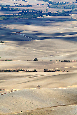 포토 JPG 해외이미지 나무 유럽 밭 농업 자연 풍경 사람없음 여름 농가 평화 환경 고요 이탈리아 달력 성장 가을 시골 만취 언덕 그림 올리브 포도밭 땅바닥 시에나 토스카나 수평선 해외202004 해외포토 식물 계절 열매 나라 산업 컨셉 바닥 농장 생태계 술취함 파일형식 이미지허브