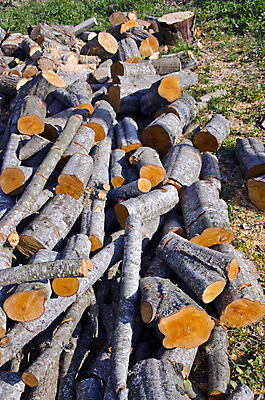 포토 JPG 해외이미지 계절 조각 겨울 불 사람없음 목재 경제 쌓기 상점 재활용 에너지 추위 뜨거움 주식 숲 장작 벽난로 통나무 목공예 지역 수납 내추럴 화상 많음 해외202004 해외포토 자연요소 나무 컨셉 재료 모션 금융 상처 공예 친환경 파일형식 이미지허브