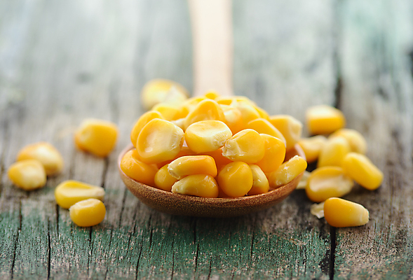 포토 JPG 해외이미지 문화 음식 백그라운드 농업 다이어트 채소 재료 건강 옥수수 요리 사람없음 목재 갈색 노란색 주방 숟가락 황금 낟알 유기농 날것 고립 숙성 채식주의자 해외202004 해외포토 나무 웰빙 산업 컬러 곡류 수저 채식 파일형식 이미지허브