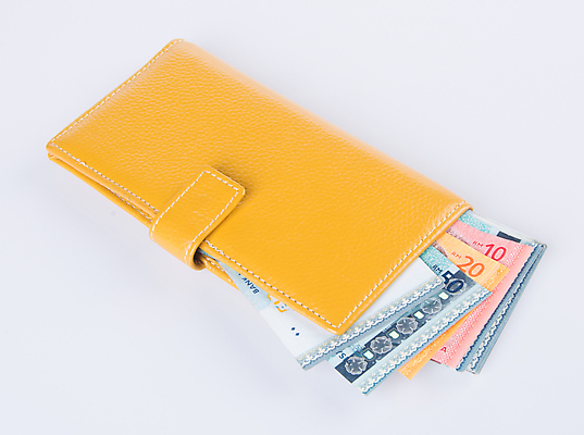 포토 JPG 해외이미지 백그라운드 컨셉 지폐 돈 가방 비즈니스 성공 사람없음 빨간색 초록색 금융 쇼핑 유행 달러 저축 흰색 오픈 화려 지갑 재산 고급 가죽 투자 결제 고립 해외202004 해외포토 잡화 컬러 경제 파일형식 이미지허브