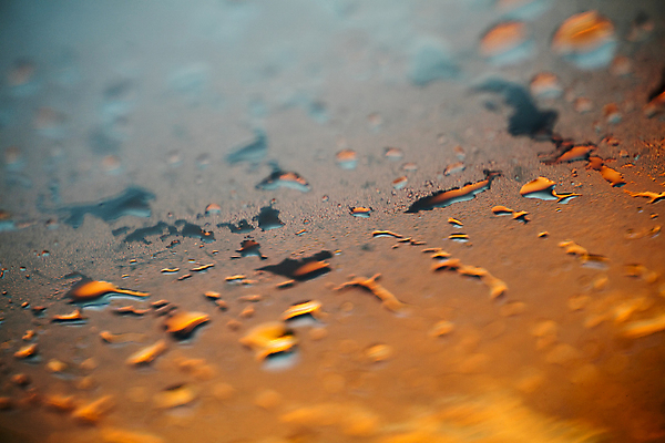 포토 JPG 해외이미지 식물 디자인 계절 꽃 백그라운드 잎 패턴 자연 아침 추상 건강 연꽃 사람없음 초록색 물 여름 환경 정원 어둠 놀람 봄 젖음 성장 흰색 물방울 신선 닫기 떨어짐 이슬 빗방울 먹기 묘사 질감 내추럴 해외202004 해외포토 주간 자연요소 감정 컬러 컨셉 무늬 모션 표정 비_날씨 생태계 파일형식 이미지허브