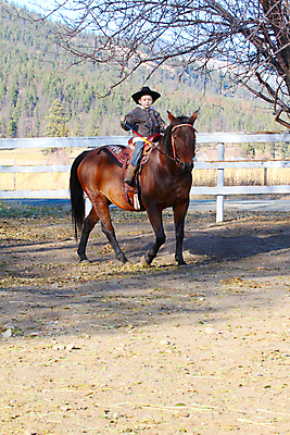 포토 JPG 해외이미지 나무 동물 백인 남자 어린이 스포츠 포즈 셔츠 건조 부츠 한명 사람 소년 야외 농장 갈색 가축 목장 재킷 흰색 청바지 시골 붓 승마 카우보이 승차 먼지 안장 라이더 서쪽 해외202004 해외포토 서양인 식물 1 컬러 신발 상의 농업 바지 모션 외투 방향 파일형식 이미지허브