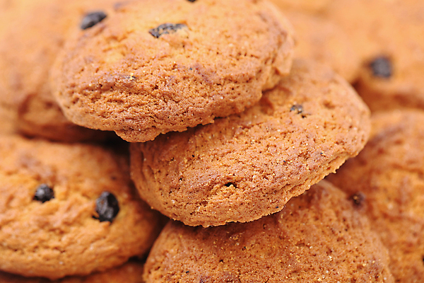 포토 JPG 해외이미지 백그라운드 사람없음 갈색 쿠키 과자 달콤 설탕 해외202004 해외포토 컬러 디저트 맛 파일형식 이미지허브