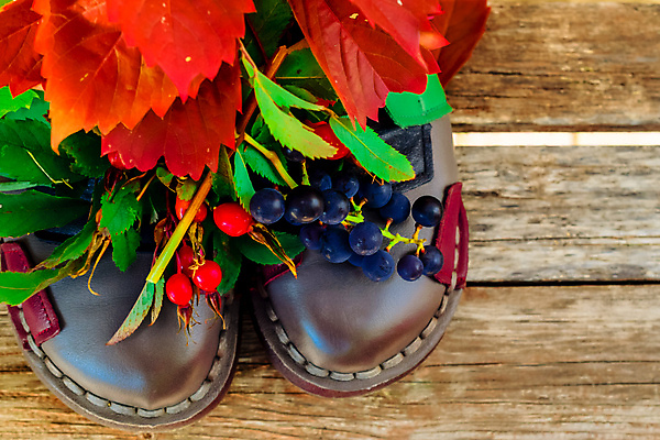 포토 JPG 해외이미지 식물 옷 공원 열매 꽃 어린이 음식 분홍색 신발 잎 크리스마스 2 벤치 과일 자연 포도 새로움 부츠 건강 사람없음 목재 장식 빨간색 초록색 장미 갈색 유행 산책 가을 흰색 아기 신선 쌍 샌들 가죽 다발 오브젝트 고무 내추럴 고립 숙성 양발 총각무 스타일 해외202004 해외포토 나무 계절 공공시설 기념일 컬러 컨셉 의자 재료 휴식 사람 무 생태계 파일형식 이미지허브