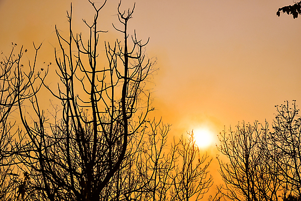 포토 JPG 해외이미지 나무 식물 공원 실루엣 섬 백그라운드 캐나다 패턴 자연 하늘 추상 풍경 사람없음 야외 빨간색 빛 컬러풀 햇빛 태양 일출 검은색 황혼 일몰 새벽 나뭇가지 죽음 고독 저녁 숲 내추럴 앨버타 엘크 전국 해외202004 해외포토 자연요소 공공시설 감정 컬러 북아메리카 무늬 촬영기법 노을 야간 생태계 파일형식 이미지허브