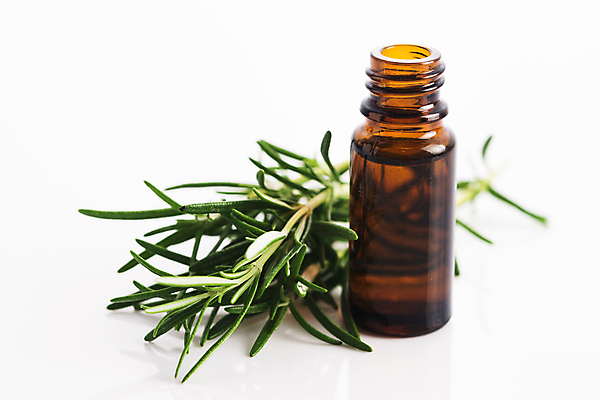 포토 JPG 해외이미지 식물 꽃 백그라운드 자연 유리 유리병 사람없음 목재 파란색 약 보라색 스파 화장품 바위 신선 항아리 약초 작음 다발 허브 아로마 코르크 아로마테라피 로즈메리 에센스 해외202004 해외포토 나무 컬러 재료 의학 재질 병_용기 뷰티 돌_바위 도자기 풀_식물 크기 생태계 테라피 파일형식 이미지허브