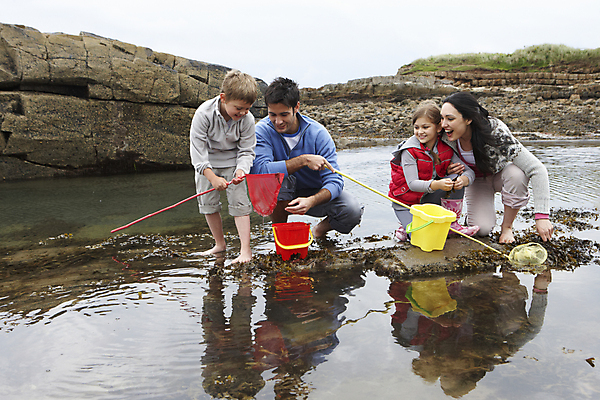 포토 JPG 해외이미지 여자 남자 행복 어린이 바다 가족 맨발 자연 휴가 함께함 웃음 사람 소년 여러명 취미 야외 가로 30대 껍질 연못 그물 수집 탐사 해일 해외202004 해외포토 감정 다수 컨셉 관계 발 표정 장년 자연재해 생태계 파일형식 이미지허브