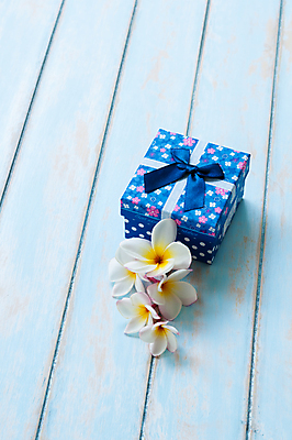 포토 JPG 해외이미지 디자인 행복 리본 백그라운드 크리스마스 탁자 바닥 사람없음 장식 파란색 상자 축제 흰색 축하 생일 패키지 해외202004 해외포토 기념일 감정 컬러 가구 컨셉 파일형식 이미지허브