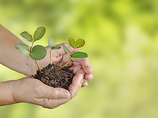 포토 JPG 해외이미지 나무 식물 손 여자 지구 컨셉 잎 자연 선물 사람 사람없음 초록색 새싹 환경 흙 성장 보호 생물학 개발 모종 생태학 심기 해외202004 해외포토 교육 컬러 모션 신체부위 생태계 파일형식 이미지허브