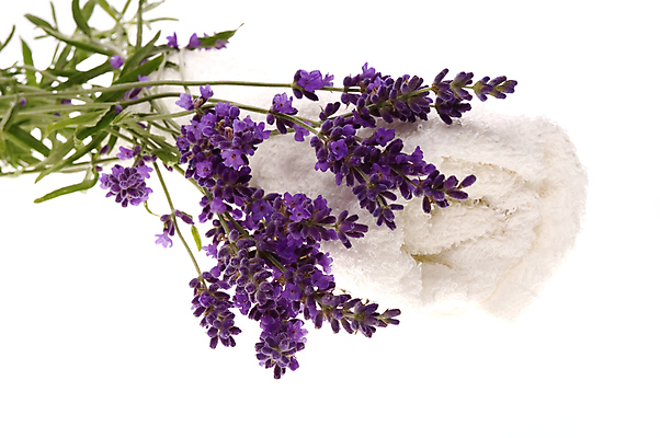 포토 JPG 해외이미지 식물 꽃 꽃다발 재료 자연 휴식 사람없음 장식 수건 건강관리 보라색 스파 화목 약재 흰색 신선 약초 허브 향기 냄새 소금 부드러움 아로마테라피 라벤더 해외202004 해외포토 컬러 컨셉 건강 관리 위생용품 약 풀_식물 감각 생태계 테라피 파일형식 이미지허브