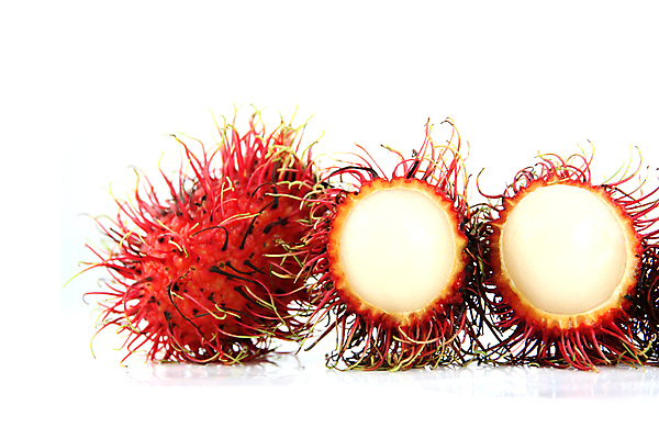 포토 JPG 해외이미지 음식 과일 사람없음 약 달콤 먹기 유기농 포도나무 섬유 내추럴 해외202004 해외포토 웰빙 의학 모션 직물 맛 과일나무 파일형식 이미지허브