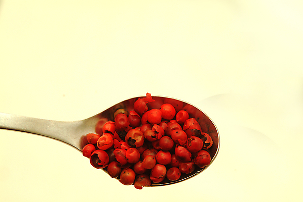 포토 JPG 해외이미지 라이프스타일 디자인 음식 분홍색 백그라운드 다이어트 재료 건조 건강 옥수수 요리 씨앗 사람없음 장식 빨간색 식당 요리사 저녁식사 신선 뜨거움 시장 닫기 맛 자르기 먹기 향신료 유기농 아로마 후추 바이오 섞기 채식주의자 해외202004 해외포토 식물 직업 웰빙 컬러 컨셉 모션 곡류 생활 상점 식사 채식 향미료 파일형식 이미지허브