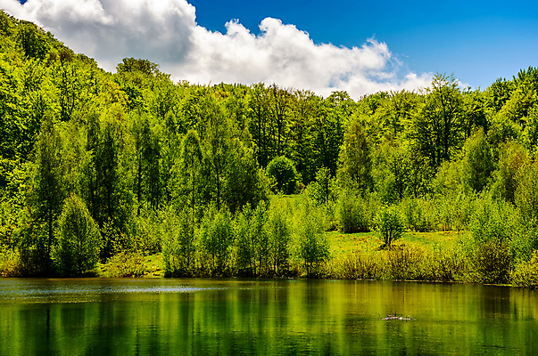 포토 JPG 해외이미지 나무 구름 계절 공원 호수 백그라운드 잎 자연 하늘 낚시 날씨 산 풍경 사람없음 야외 목재 초록색 물 여름 파란색 컬러풀 세계 반사 환경 봄 연못 신선 액체 숲 그림 지역 천국 석호 내추럴 생태학 전국 해외202004 해외포토 자연요소 식물 공공시설 교육 컬러 재료 레저 생태계 파일형식 이미지허브