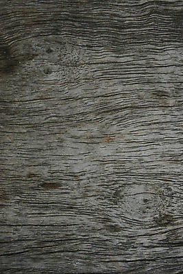 포토 JPG 해외이미지 나무 디자인 외관 벽 백그라운드 패턴 자연 탁자 표면 추상 바닥 프레임 건조 사람없음 목재 장식 갈색 어둠 수확 소나무 판넬 얼룩 거친 널 낟알 타일 책상 질감 복고 목공예 내추럴 구식 그런지 수목 옛날 해외202004 해외포토 식물 컬러 가구 무늬 농업 재료 공예 생태계 파일형식 이미지허브