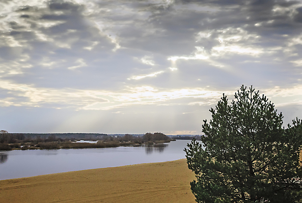 포토 JPG 해외이미지 나무 구름 모래 백그라운드 자연 하늘 아침 바람 날씨 풍경 사람없음 물 빛 태양 우주 귀여움 일출 흐름 자유 가을 소나무 분위기 숲 흐림 내추럴 수평선 해외202004 해외포토 주간 자연요소 식물 계절 컨셉 노을 생태계 파일형식 이미지허브