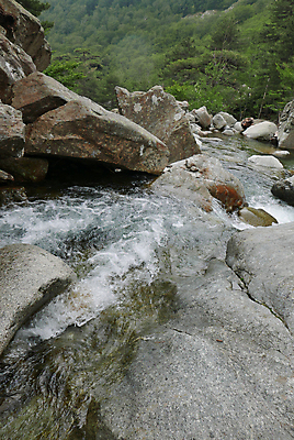 포토 JPG 해외이미지 영어 바다 섬 여행 자연 갈매기 등대 풍경 사람없음 여름 파란색 강 태양 마을 산책 폭포 산책로 하이킹 프랑스 보트 스페인 지중해 순환 페이지 포트 타운 통과 건너기 다도해 마르세유 코르시카 해외202004 해외포토 자연요소 문자 계절 유럽 길 컬러 배_교통 모션 조류 레저 휴식 도시 생태계 파일형식 이미지허브