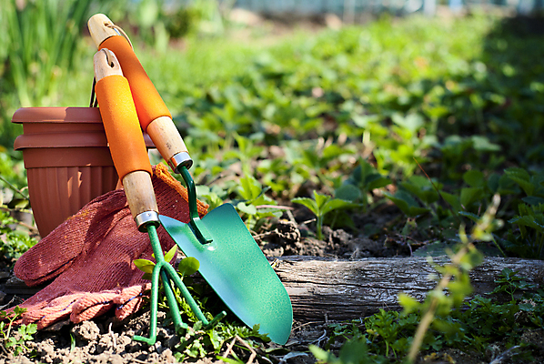 포토 JPG 해외이미지 식물 공원 화분 장갑 컨셉 잎 농업 자연 휴식 풍경 사람없음 초록색 여름 봄 성장 공구 직물 신선 모종삽 삽 원예 내추럴 돌봄 땅바닥 심기 해외202004 해외포토 잡화 계절 공공시설 산업 컬러 모션 바닥 취미 도구 생태계 파일형식 이미지허브