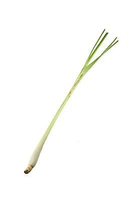 포토 JPG 해외이미지 식물 음식 백그라운드 채소 재료 태국 건강 요리 사람없음 초록색 스파 흰색 신선 양념 맛 다발 레몬 허브 향신료 날것 향기 아로마 향 길이 내추럴 숙성 해외202004 해외포토 아시아 컬러 컨셉 과일 냄새 향미료 파일형식 이미지허브