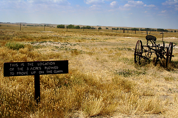 포토 JPG 해외이미지 나무 식물 자연 하늘 사람없음 야외 여름 태양 농장 정원 맑음 장비 흐름 수확 골동품 시골 역사 땅 원예 해외202004 해외포토 자연요소 계절 컨셉 농업 날씨 취미 생태계 파일형식 이미지허브