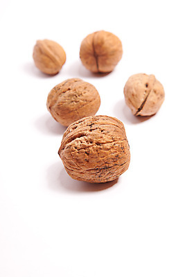 포토 JPG 해외이미지 음식 자연 사람없음 견과류 닫기 흰배경 해외202004 해외포토 백그라운드 모션 흰색 생태계 파일형식 이미지허브