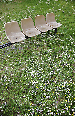 포토 JPG 해외이미지 식물 계절 꽃 백그라운드 밭 의자 자연 휴식 풍경 사람없음 야외 초록색 여름 노란색 정원 맑음 성장 깃발 숲 큐브 생물학 데이지 생태학 해외202004 해외포토 교육 컬러 가구 컨셉 농업 날씨 생태계 파일형식 이미지허브