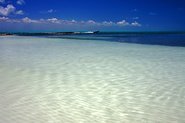 포토 JPG 해외이미지 나무 구름 모래 파도 섬 여행 멕시코 손바닥 사람없음 초록색 물 파란색 갈색 검은색 흰색 모터보트 석호 해외202004 해외포토 자연요소 식물 손 바다 컬러 북아메리카 배_교통 파일형식 이미지허브