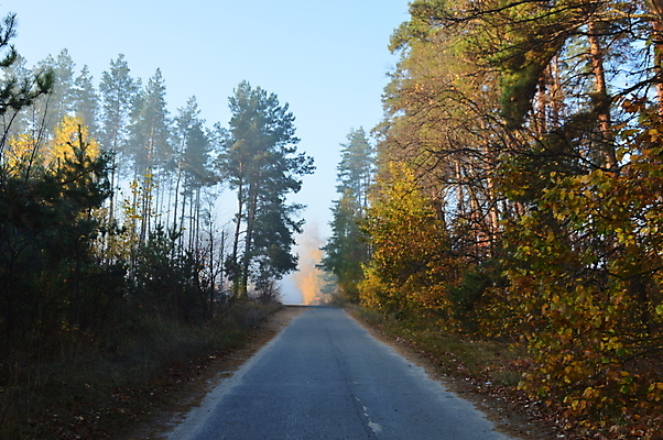 포토 JPG 해외이미지 나무 계절 실루엣 여행 백그라운드 자연 하늘 아침 산 풍경 사람없음 야외 목재 여름 마을 봄 산책 안개 시골 숲 언덕 해외202004 해외포토 주간 식물 재료 날씨 휴식 촬영기법 생태계 파일형식 이미지허브