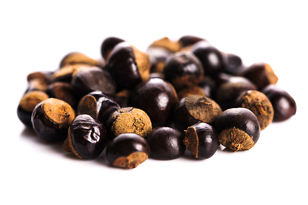 포토 JPG 해외이미지 식물 커피 음식 과일 재료 콩 사람없음 숟가락 견과류 약초 향신료 브라질 내추럴 아마존 추출 헤이즐넛 해외202004 해외포토 음료 곡류 수저 풀_식물 남아메리카 향미료 파일형식 이미지허브