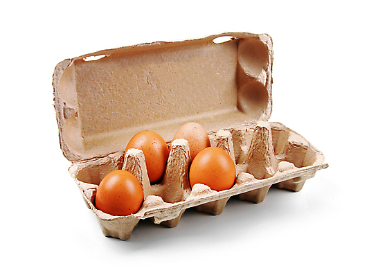 포토 JPG 해외이미지 잡화 음식 백그라운드 재료 포장 사람없음 상자 농장 계란 치킨 흰색 컨테이너 유기농 날것 팩 판지 고립 단백질 암탉 해외202004 해외포토 웰빙 산업 컬러 농업 알 화장품 닭 암컷 닭고기요리 영양소 파일형식 이미지허브