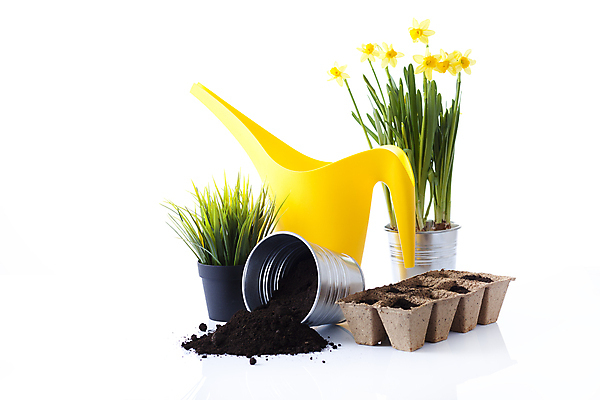 포토 JPG 해외이미지 나무 식물 꽃 화분 장갑 잎 농업 자연 사람없음 노란색 흙 봄 공구 모종삽 삽 허브 물주기 원예 수선화 로즈메리 갈퀴 돌봄 세이지 해외202004 해외포토 잡화 계절 산업 컬러 모션 취미 도구 생태계 파일형식 이미지허브