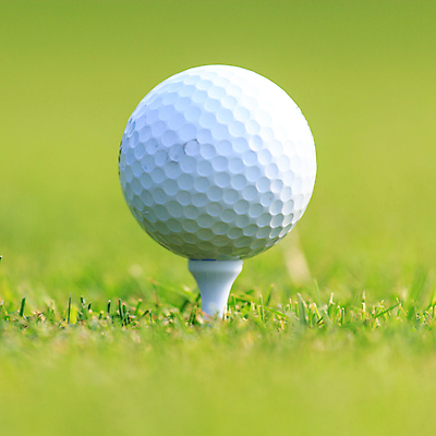 포토 JPG 해외이미지 나무 식물 직업 라이프스타일 스포츠 백그라운드 밭 골프 공 자연 놀이 휴가 풍경 잔디 사람없음 야외 초록색 여름 운동 태양 일몰 경쟁 장비 게임 흰색 골퍼 닫기 강의 오브젝트 클럽 슛 내추럴 골프티 해외202004 해외포토 자연요소 계절 컬러 컨셉 농업 모션 운동선수 골프용품 건강 생활 구기 노을 생태계 파일형식 이미지허브