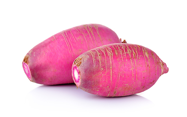 포토 JPG 해외이미지 식물 음식 백그라운드 다이어트 채소 자연 건강 동양인 사람없음 빨간색 흰색 신선 날것 뿌리 내추럴 고립 총각무 해외202004 해외포토 컬러 인종 무 생태계 파일형식 이미지허브