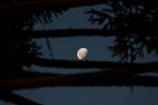 포토 JPG 해외이미지 실루엣 사람없음 야외 달 야간 반달 해외202004 해외포토 자연요소 촬영기법 파일형식 이미지허브