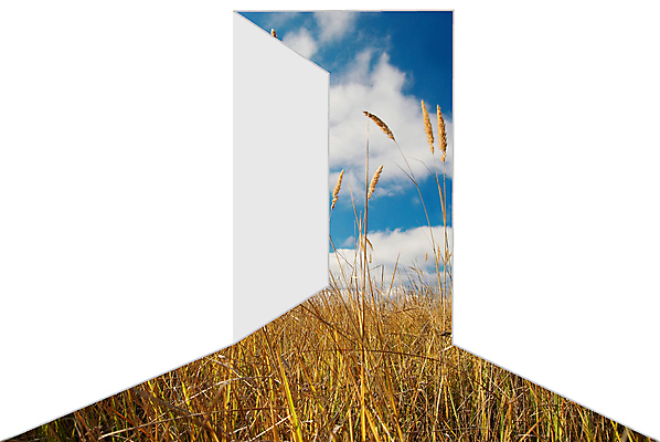 포토 JPG 해외이미지 식물 구름 계절 백그라운드 밭 농업 자연 하늘 날씨 출입구 풍경 사람없음 야외 초록색 여름 파란색 컬러풀 세계 태양 농장 문 환경 맑음 봄 흰색 시골 신선 땅 시작 장면 문고리 천국 내추럴 파라다이스 해외202004 해외포토 자연요소 산업 컬러 생태계 파일형식 이미지허브