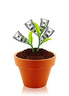 포토 JPG 해외이미지 나무 식물 잎 돈 비즈니스 자연 성공 프레임 사람없음 초록색 금융 농작물 달러 꿈 저축 성장 흰색 나뭇가지 신선 행운 퍼센트 지갑 재산 고급 계획 냄비 주식 기적 투자 만들기 점토 자원 고립 복권 프로젝트 해외202004 해외포토 컬러 컨셉 농업 모션 경제 특수기호 솥 생태계 파일형식 이미지허브