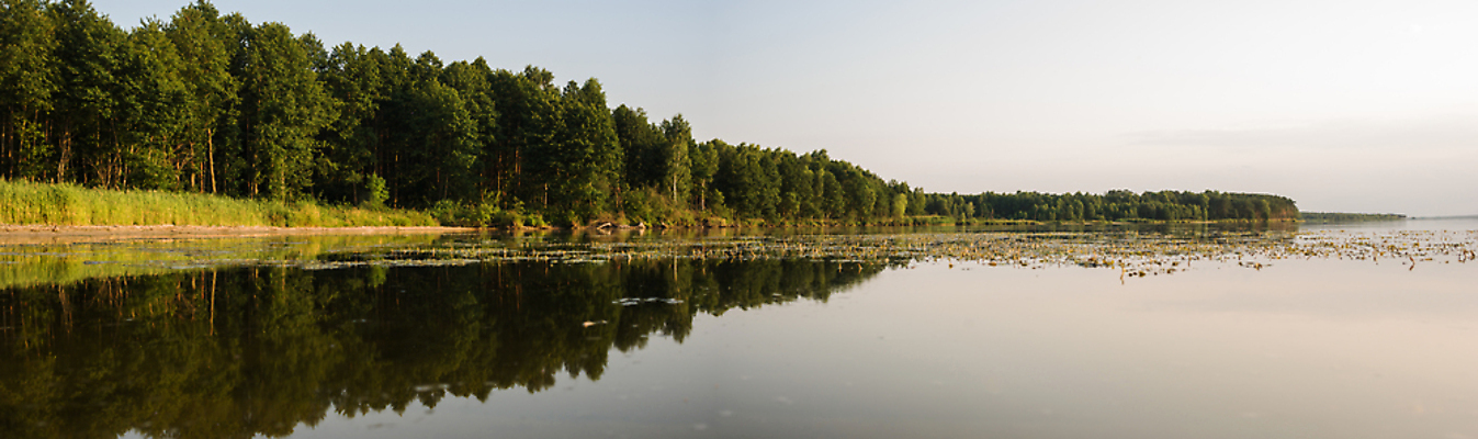 포토 JPG 해외이미지 구름 계절 호수 파도 바다 여행 백그라운드 자연 하늘 날씨 휴가 휴식 풍경 사람없음 야외 물 여름 파란색 빛 강 햇빛 태양 반사 평화 환경 맑음 침묵 봄 거울 흰색 시골 연못 장면 천국 내추럴 수평선 해외202004 해외포토 자연요소 컬러 컨셉 소리 생태계 파일형식 이미지허브