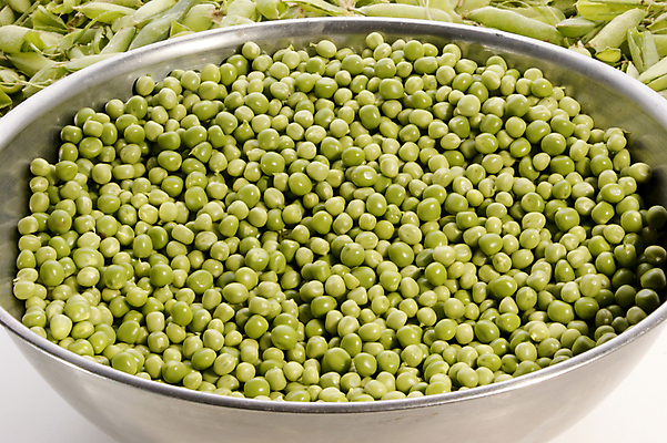 포토 JPG 해외이미지 식물 음식 다이어트 채소 자연 건강 씨앗 사람없음 초록색 정원 신선 달콤 맛 먹기 유기농 완두콩 날것 숙성 줄서기 많음 해외202004 해외포토 웰빙 컬러 컨셉 모션 콩 생태계 파일형식 이미지허브