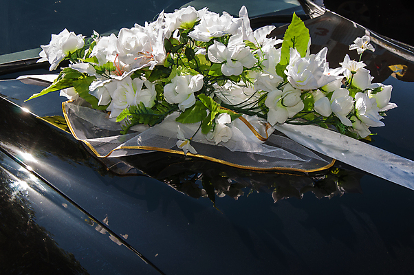 포토 JPG 해외이미지 디자인 여자 꽃 행복 리본 꽃다발 결혼 교통시설 자동차 결혼식 사랑 사람없음 야외 장식 빛 유행 기쁨 축하 클래식 고급 우아함 리무진 엘리먼트 스타일 해외202004 해외포토 식물 감정 육상교통 교통 컨셉 사람 이벤트 시설 파일형식 이미지허브