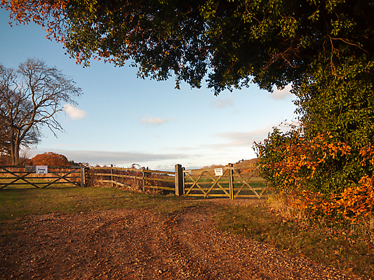 포토 JPG 해외이미지 나무 식물 디자인 계절 공원 도로 벽 백그라운드 컨셉 패턴 밭 농업 자연 하늘 풍경 잔디 사람없음 야외 목재 초록색 여름 파란색 울타리 농장 정원 봄 수확 가을 흰색 시골 볏짚 보호 보안 대문 먼지 길가 뒤뜰 수평선 해외202004 해외포토 공공시설 산업 길 컬러 무늬 재료 교통시설 안전 담장 문 짚 생태계 파일형식 이미지허브