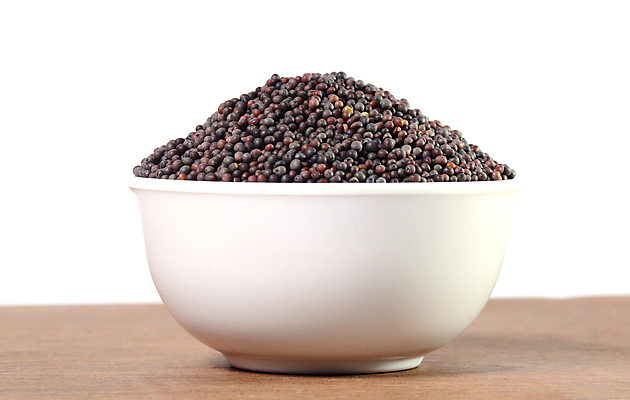 포토 JPG 해외이미지 음료 음식 백그라운드 농업 재료 건조 건강 요리 씨앗 사람없음 목재 약 갈색 쌓기 흰색 양념 조미료 맛 낟알 인도인 머스터드 허브 향신료 유기농 질감 매움 날것 아로마 향 아로마테라피 흙더미 내추럴 고립 이국적 해외202004 해외포토 외국인 나무 식물 웰빙 산업 컬러 컨셉 의학 모션 동양인 흙 소스_음식 테라피 향미료 파일형식 더미 이미지허브