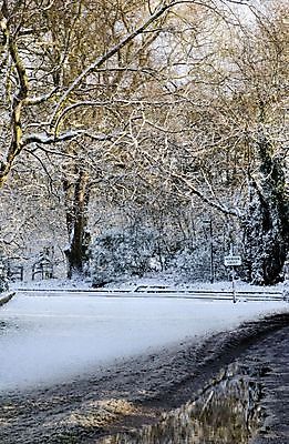 포토 JPG 해외이미지 나무 겨울 날씨 잉글랜드 사람없음 초록색 추위 흰색 시골 사인 해외202004 해외포토 식물 계절 컬러 영국 파일형식 이미지허브