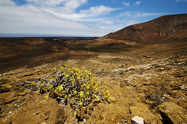 포토 JPG 해외이미지 식물 구름 공원 꽃 모래 섬 여행 백그라운드 아프리카 자연 하늘 휴가 산 이끼 풍경 사람없음 여름 빛 바위 연못 구멍 스페인 위험 폭발 언덕 화산 먼지 용암 해외202004 해외포토 자연요소 계절 공공시설 유럽 나라 컨셉 돌_바위 생태계 파일형식 이미지허브