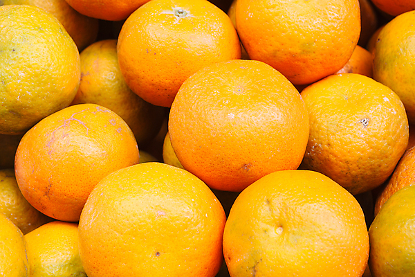 포토 JPG 해외이미지 음식 조각 농업 다이어트 오렌지 과일 부분 자연 디저트 귤 건강 식이요법 사람없음 노란색 주스 활발 신선 원형 달콤 맛 먹기 피부 묘사 싱글 상쾌 유기농 날것 칼로리 내추럴 숙성 완벽 이국적 해외202004 해외포토 도형 웰빙 감정 산업 음료 컬러 컨셉 모션 신체부위 생태계 파일형식 이미지허브